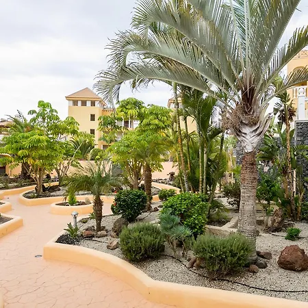 Penthouse Tropical Sunrises شقة