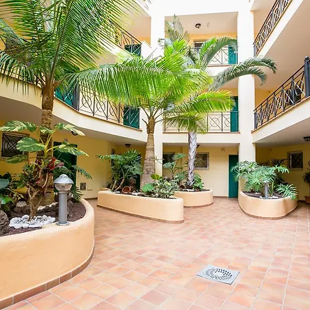 Penthouse Tropical Sunrises *